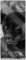Pixxprint Glasbild Panorama, Wandbild aus Echtglas, schwarzer Panther, 100x40 cm, inkl. Aufhängung und Abstandshalter