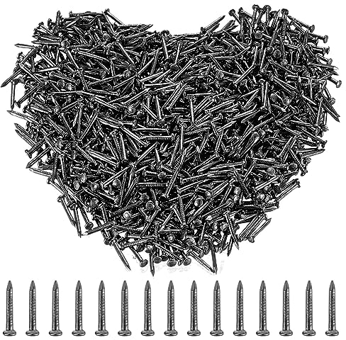 Um3000 chiodi piccoli chiodi, chiodi da parete per appendere quadri, unghie artificiali, testa rotonda, chiodi da parete per cornice, lavorazione del legno, 3 x 10 mm, nero