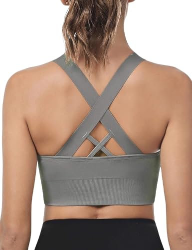 LAJERIN Sport BH Damen Starker Halt Push up Sport Bra Gekreuzt Rücken Gepolstert Sports Bra mit Abnehmbaren Gepolstert für Fitness Lauf Joggen Yoga, Grau-M