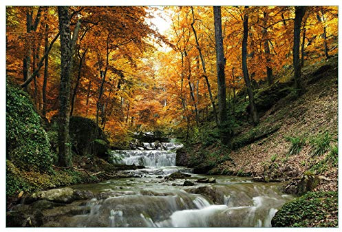 Wallario Küchenrückwand selbstklebend 90 x 60 cm, Motiv: Kleiner Bach über Steine im Herbstwald | Spritzschutz abwischbar & pflegeleicht