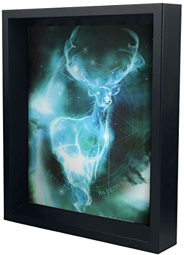 Wizarding World Harry Potter 'Expecto Patronum' 3D-lentikular Poster,10 x 8 inch