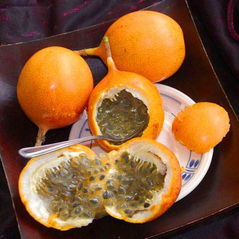 Jardin 15 Graines d'Orange Colombie Jaune Fruit de la Passion, Grenade, grenadelle, Grenadille douce Graines Livraison gratuite