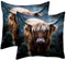Schottisches Highland COW 2 Stück quadratische Kissenbezüge dekorativer weicher Samt-Kissenbezug für Couch, Sofa, Bett, Auto, Wohnzimmer, 40 x 40 cm