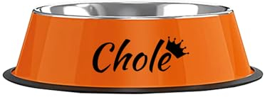 Gamelle Personnalisée pour Chiens et Chats - Bol en INOX avec Base Antidérapante - Facile à Nettoyer - Gamelle d'eau pour Chiots et Chatons(Orange)
