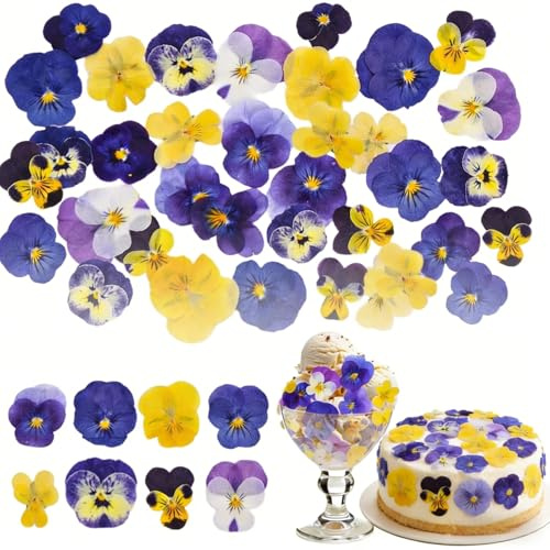 40 Stück 8 Arten natürliche, getrocknete, gepresste, essbare Blumen zum Dekorieren von Kuchen – Mix Viola Tricolor für Cupcake-Topper, Cocktails, Harzschmuckherstellung, DIY Kunst Handwerk