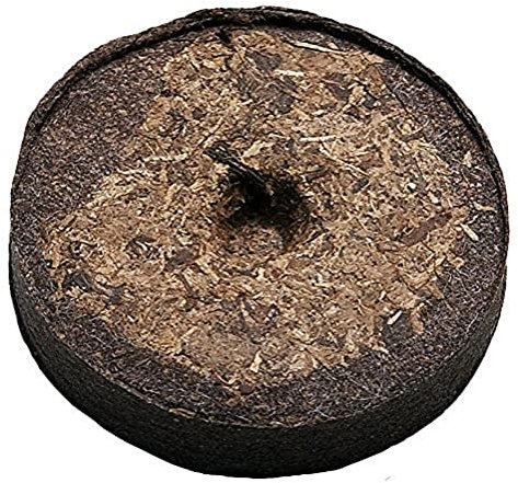 Biotop Tabletas de turba diámetro de 36 mm, 50 Unidades, Multicolor, 1x1x1 cm, B2007