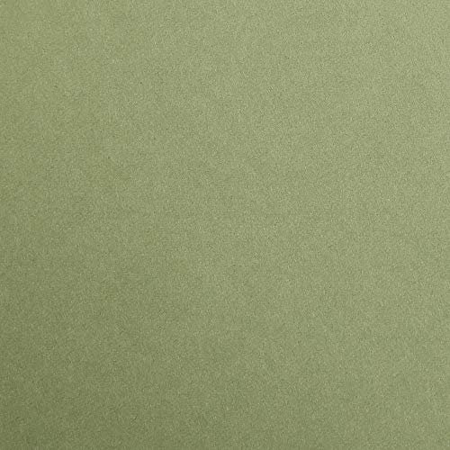 Clairefontaine 48170C Packung (mit 25 Bögen Zeichenpapier Maya, DIN A2, 42 x 59,4 cm,270g, glatt, ideal für Trockentechnik und Einrahmen) laubgrün