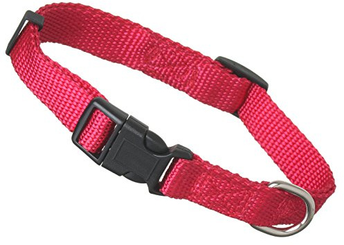 Scarlet pet | Hundehalsband »Universal« mit Klickverschluss und Längenverstellung; Diverse Farben und Größen; Robustes Nylon (S: 24-34 x 1,5 cm/Rot)