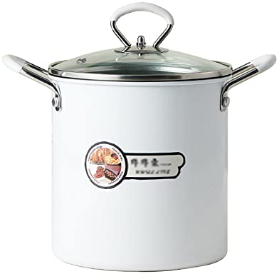 KUCOCOSNEH Freidora de cocina Freidora de patatas fritas Cesta de frito Tapa de hierro refinado para patatas fritas Camarones Alas de pollo Camarón Blanco