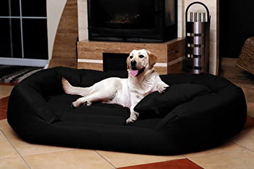 tierlando® Hundebett Sammy Komfort mit herausnehmbarer 4-Kammer-Matratze und hohem Rand aus Polyester 600D für große und schwere Hunde Größe: 170x110cm | Farbe: 03 Schwarz