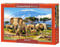 Castorland C-103188-2 - Kilimanjaro Morning, Puzzle 1000 Teile