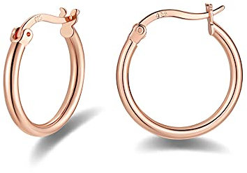 Sterling Silver Hoops Earrings for Women, 925 Sterling Silver Post Small Silver Hoop Earrings, Rose Gold Plated 20mm Hypoallergenic Sleeper Endless Circle Hoops Huggie Hinged Earrings for Women Girls