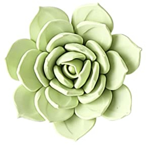 TURSGYZ Handgefertigte Keramik Grüne Blumen Sukkulenten Wand Dekor Künstliche Skulptur 3D Wandbehang Ornament Kunst Hochzeitsgeschenk 9.5cm