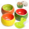 3 Pack Hamster Bowl Ceramic Prevent Chewing feeding bowl Guinea Pig Water Small Animal Food Dish for Syrian Hamster Rabbit Gerbil Chichilla Hedgehog Sugar Glider Rat