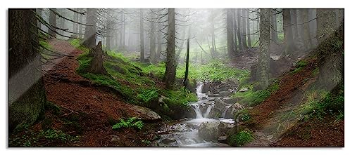 Pixxprint Glasbild Panorama, Wandbild aus Echtglas, Bach im Wald, 100x40 cm, inkl. Aufhängung und Abstandshalter