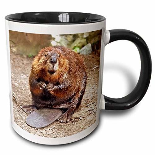 Keramik Tasse Bedruckt Becher 330Ml, Biber Teetasse Mehrfarbig Für Kollegin Frauen Büro