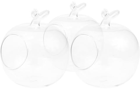 OSOLADY Glass Hydroponic Planter 3Pcs Shaped Bottles 10Cm for Desktop Micro Landscape Decorative Greenhouse