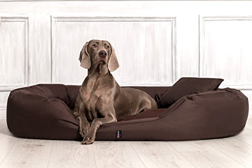 tierlando® Orthopädisches Hundebett Sammy - Robuster Polyester - Dicke Umrandung - Gr. L - XXXXL Hundesofa Hundekörbchen, mittelgroße und große Hunde, waschbar Gr. XXXL 170 cm Braun