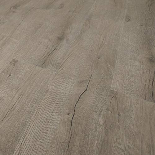 TRECOR Klick Vinylboden RIGID-SPC Designboden Massivdiele 5,0 mm stark mit 0,50 mm Nutzschicht - WASSERFEST - Sie kaufen 1 Musterstück (Prestige Eiche Grau, 30x20 cm Musterstück | Vinylboden)