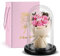 Regalo per Le Donne, Bouquet di Rose Rosse con Cupola in Vetro, Regalo di Rose Senza Tempo, per La Coppia, Natale, San Valentino, Festa della Mamma, Decorazione Interna
