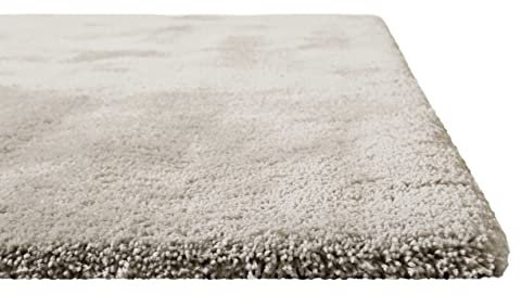 Homie Living I Hochflor Teppich Uni I Modern, weich, flauschig, kuschelig I Für Wohnzimmer Schlafzimmer I Pisa I (160 x 230 cm, Beige)