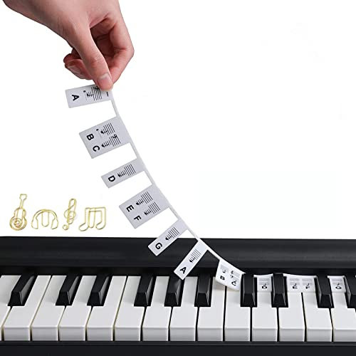 Piano Keyboard Stickers, Silicone Piano Note Strips Full Size 88 Keys Reusable Comes Removable Piano Stickers For Beginners (Color : Noir)
