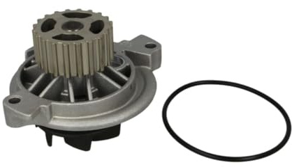 Hepu P536 Wasserpumpe