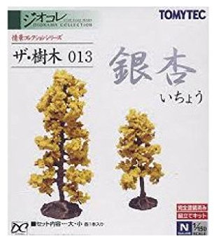 Die Bäume 013 Ginkgo