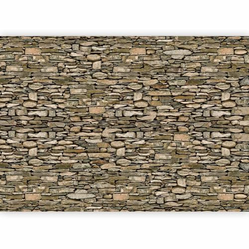 murando Fotomurales Ladrillo Piedras 400x280 cm XXL Papel pintado tejido no tejido Decoración de Pared decorativos Murales moderna Diseno Fotográfico Textura Ladrillo Blanco f-A-0346-a-b