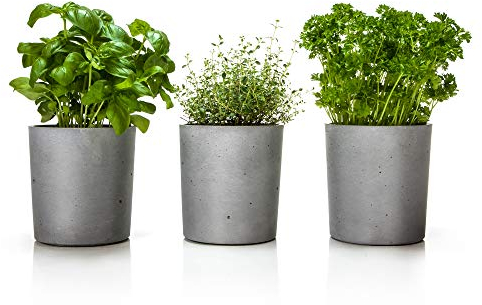 URBANATURE Concrete Cachepots, set of 3