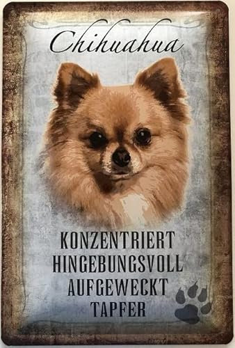 Blechschild 30 x 20 cm Hunde Schild Chihuahua - DekoNo7