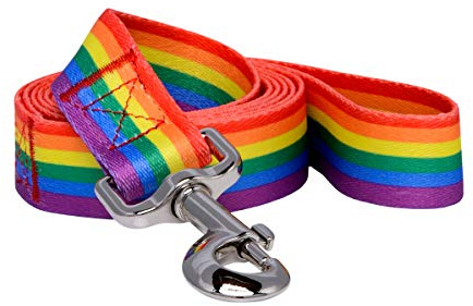 Native Pup Gay Pride LBGTQ Hundeleine, Regenbogenflagge, 1,5 m, Regenbogenfarben