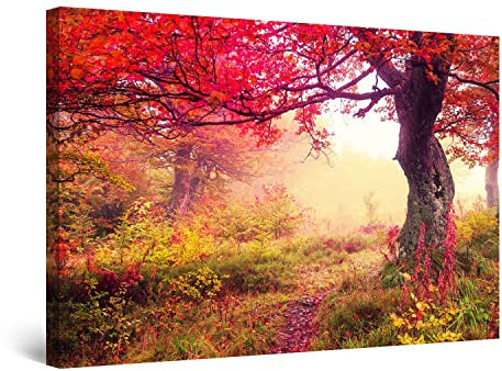 Startonight Impression Sur Toile Peinture Paysage Féerique dans la Forêt Rouge, Tableau Nature - Decoration Murale Salon Moderne - Image sur Toile - Grande 80 x 120 cm Idée Cadeau Élégante