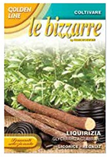 BUSTINA CON SEMI SEEDS DI LIQUIRIZIA GLABRA OFFICINALI ORTO GIARDINO
