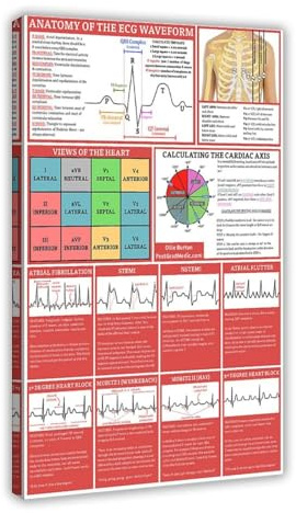 NEOHI Kunstdruck auf Leinwand, Motiv: Anatomie des EKG-Wellenform-Kardiologen im Vintage-Stil, für Schlafzimmer, Wohnzimmer, Poster, ästhetische Dekoration für Schlafzimmer, Büro, 30 x 45 cm