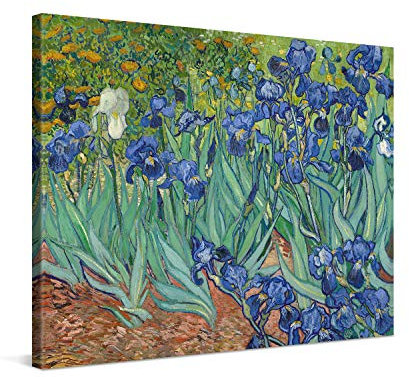 PICANOVA – Vincent Van Gogh Iris 100x75cm – Photo sur Toile – Impression sur Toile Haut de Gamme – Image sur Toile pour Décoration Murale Moderne