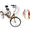 NadineDutol Dreirad Fahrrad Erwachsene,24 Zoll Dreirad Für Erwachsene Senioren 6 Gang 3-Räd-Fahrrad mit Rückenlehne & Korb Fahrradwege und Verschiedene Straßen Geeignet (Gold)
