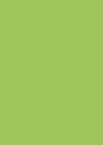 Brunnen 105123550 Universalpapier, A4, 35 Blatt, 120 g/m², hellgrün