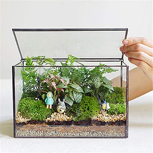 Glas-Pflanzgefäße, Terrarium mit Deckel, geometrische Pflanzen, Terrarienbehälter für Moos, Zimmerpflanzen, Tischplatte, rechteckig, schwarz, Terrarium, Pflanzkasten für Schreibtisch, 21,6 cm L x 12,9