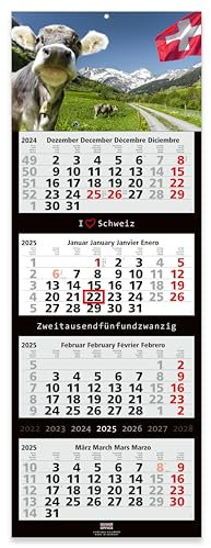 GEIGER-OFFICE 4-Monats-Wandkalender 2026 Großformat 33 x 90 cm mit attraktivem SCHWEIZ-Bildmotiv