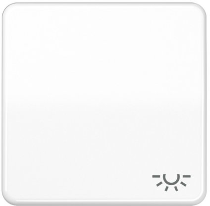 Jung Wippe CD590LWW mit Symbol Licht