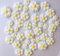 30 Beautiful Edible Sugar Daisy Flowers White/Yellow Centre or Customise; Mixed Sizes Handmade Birthday, Wedding, Baby, Easter Etc Cake/Cupcake Toppers/Decorations
