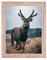 Rahmendesign24 Posterrahmen Fiona 70x100 Sonoma Eiche Fotorahmen, Wechselrahmen, Bilderrahmen