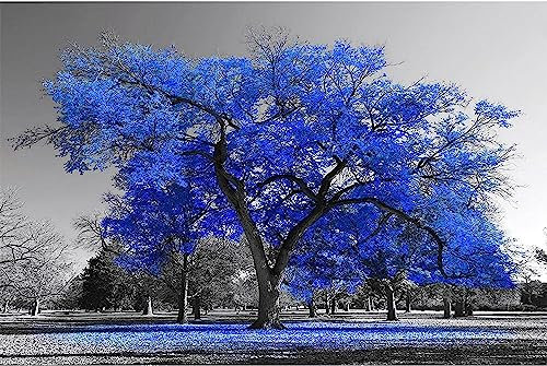 Bleu Vie Arbre Affiche Noir Et Blanc Paysage Moderne Toile Tableau Art Peintures Decoration Murale pour Salon Chambre Tableau Decoration, sans Cadre (60X90CM)