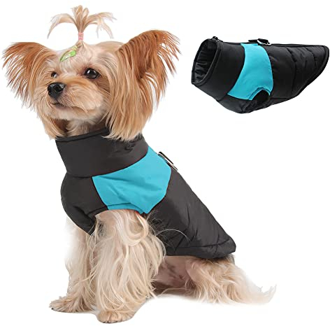 Novetec Warme Hundemantel Winter, Hundejacke wasserdichte Hund Wintermantel für Kleine Mittel Große Hunde Katze Winterweste Winddichte Haustierkleidung mit Geschirrloch (S, Blau)