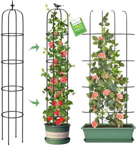 Tower Obelisk Garden Trellis for Climbing Plant，73.6inch Rustproof Metal Potted Plant Climbing Support for Indoor Outdoor Flowers Vegetable Fruits Vines Support (2Pcs)