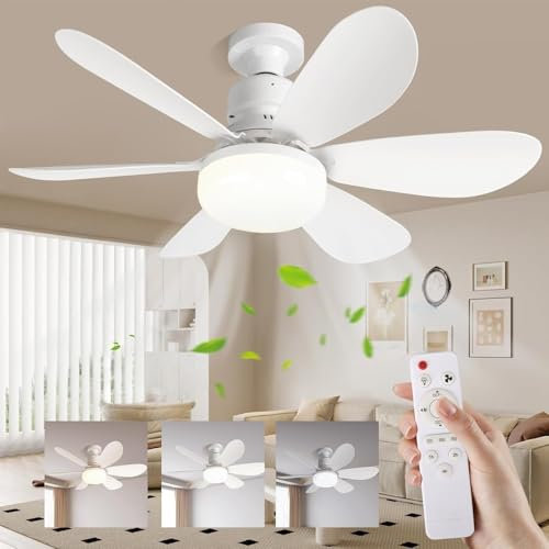 LINNIW Ceiling Fan with LED Lights,E27 30W Noiseless Ceiling Lamp with Fan and Remote,1/2/4H Timing,3 Color Dimmable LED,3 Speeds Led Ceiling Fans for Bedroom Living Room Dorm