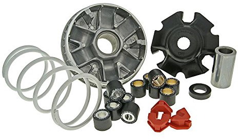 Variomatik MALOSSI Multivar Rotax kompatibel mit Aprilia Leonardo 125 150 Tuning Variator