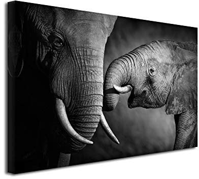 DECLINA Tableau L'éléphant et sa mére - Impression Photo Animaux sur Toile décoration Murale - Déco Maison, Cuisine, Salon, Chambre Adulte - Noir et Blanc 80x50 cm