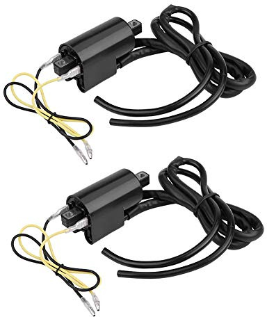 EVGATSAUTO Accessorio accensione moto di ricambio, bobine accensione 2 pezzi per GSF400 GSF600 GSF1200 Bandit